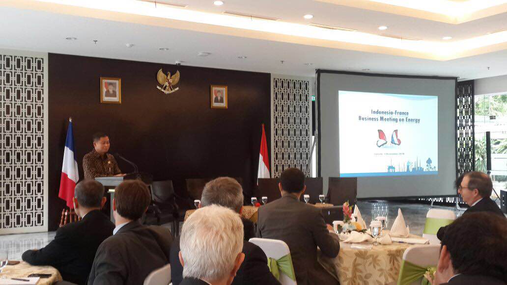 MESDM Sambut Positif Tawaran Perancis