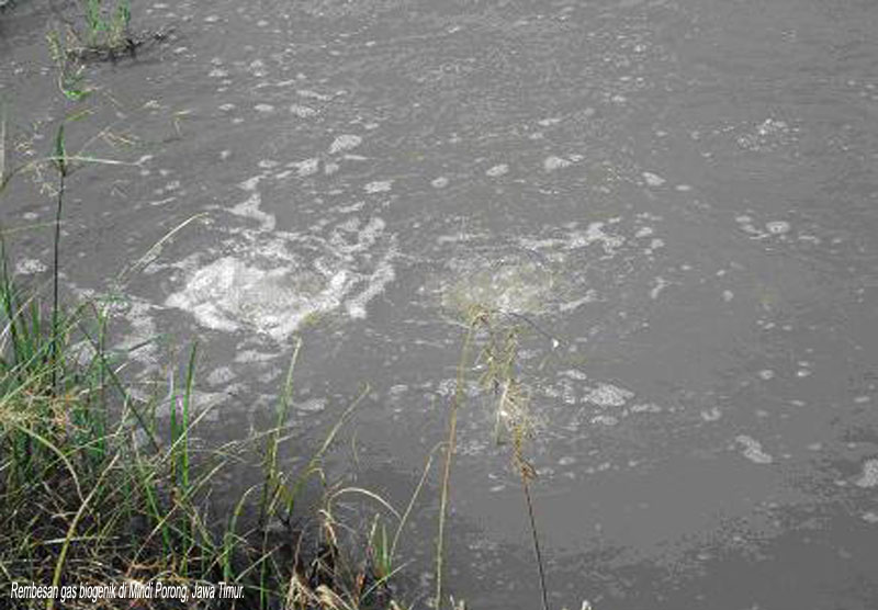 Gas Biogenik Sumber Energi Alternatif