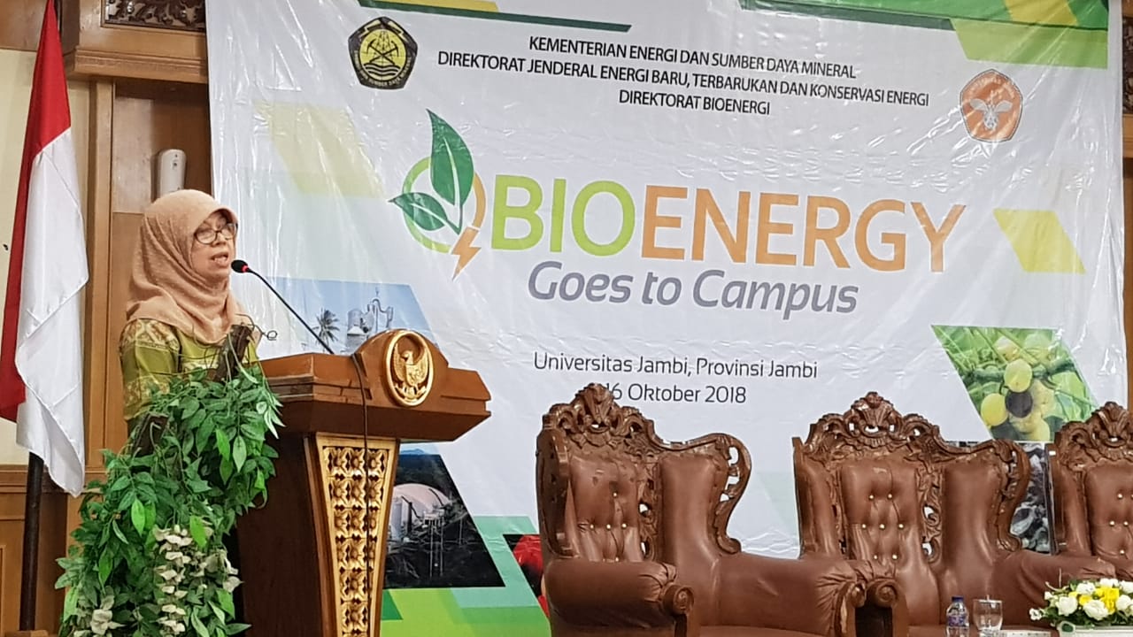 213,6 MW PLT Bioenergi Sudah On Grid Dengan Jaringan PLN
