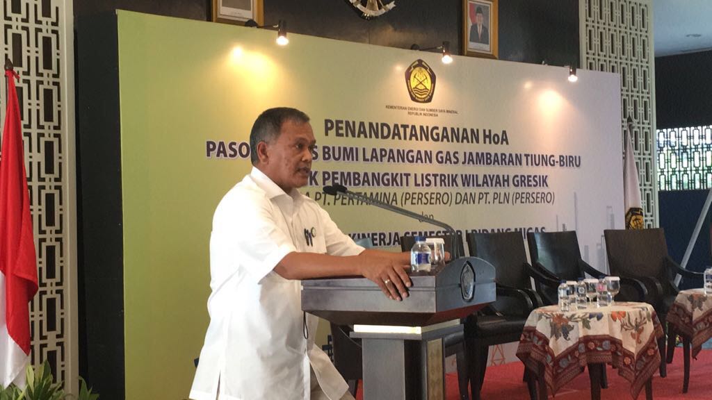 Alokasi Gas Domestik, Semester I Tahun 2017 Capai 60,4%