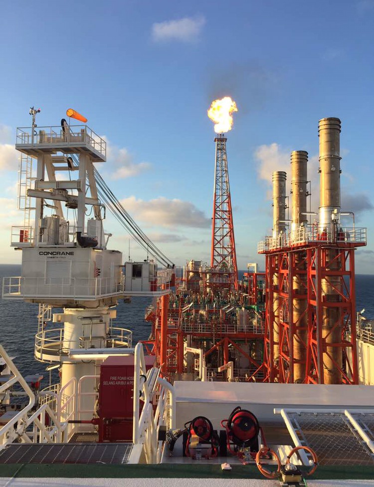 Catatan Perjalanan Blok Muara Bakau: Jangkrik Yang Penuh Daya Tarik (2)