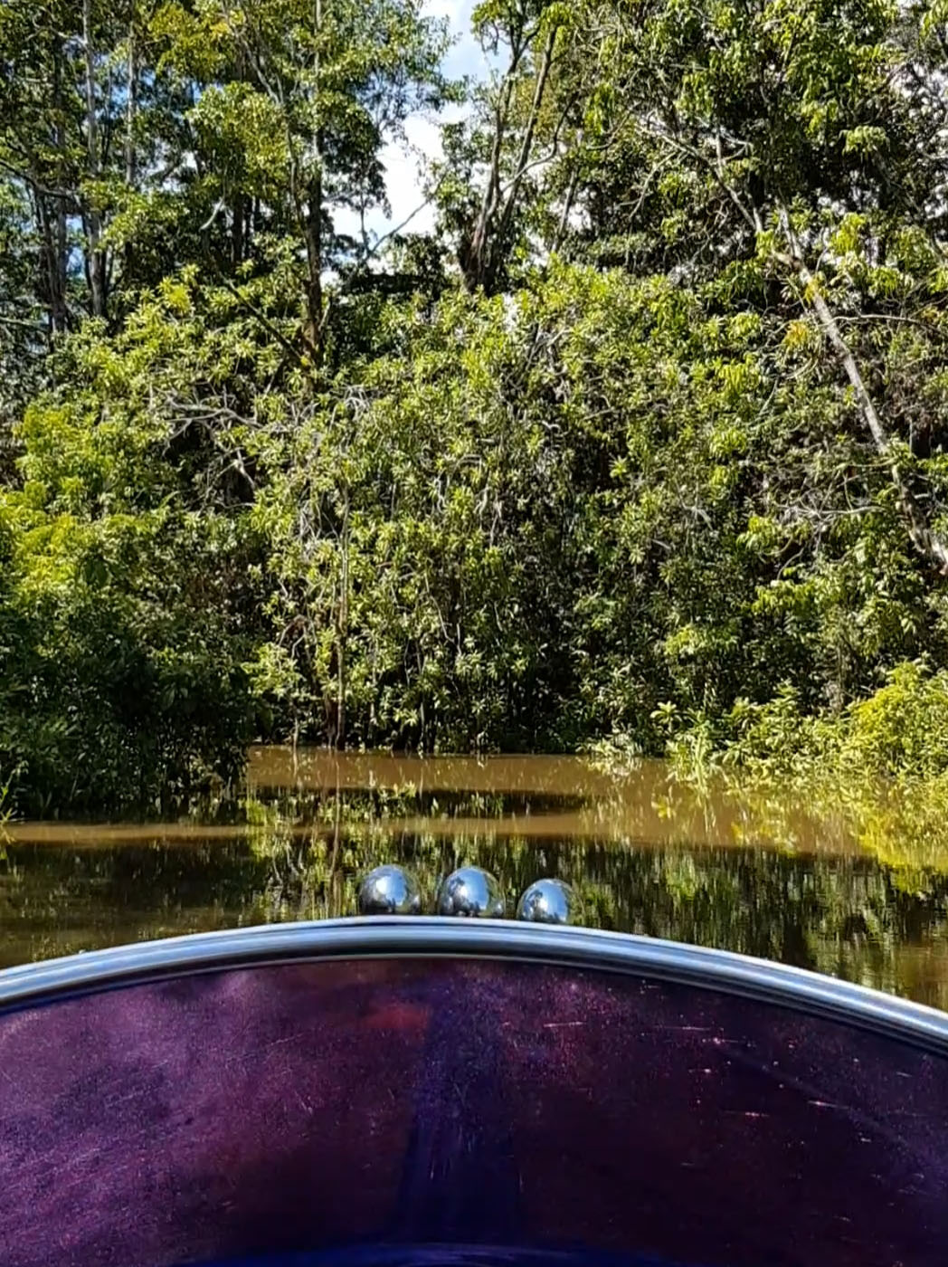 Cerita Riyan Distribusikan Lampu Surya di Mappi Papua