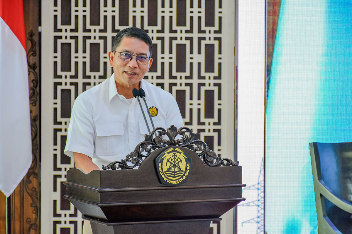 Gelar Sosialisasi Regulasi TKDN, Sekjen ESDM: Percepat Pembangunan Infrastruktur Listrik Gunakan Produk Dalam Negeri