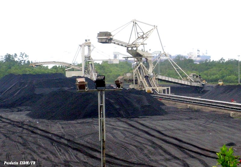 Harga Batubara Acuan Juni 2019 Dipatok USD 81,48/Ton