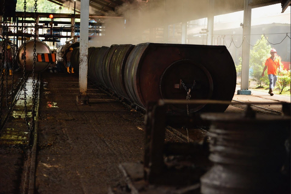 Harga Minyak Sawit Melemah, HIP BBN Bulan Februari Turun Tipis