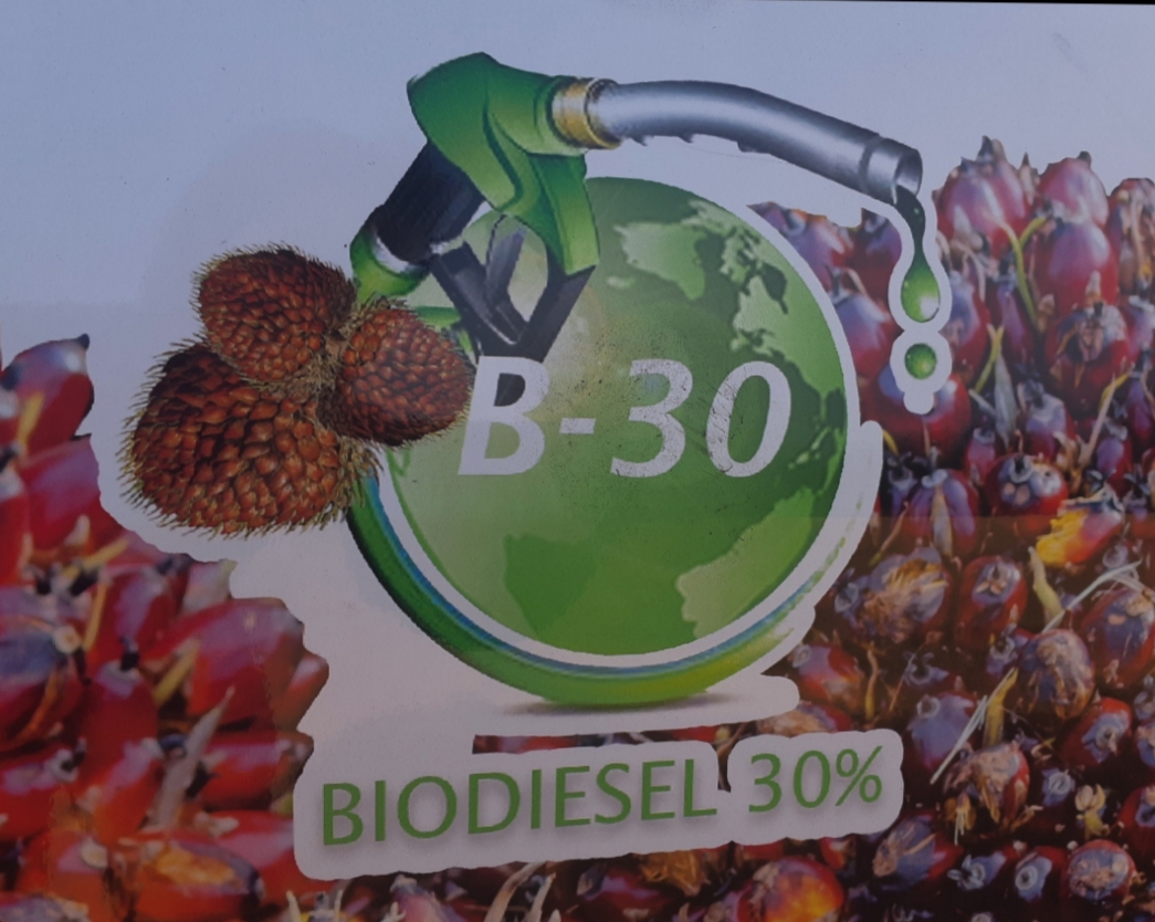 Hasil Uji Coba B30 Akan Dilaporkan Ke Presiden Jokowi