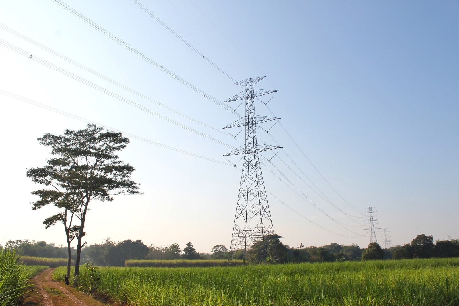 Jaga Stabilitas Awal Tahun 2026, Pemerintah Putuskan Tarif Listrik Tidak Naik