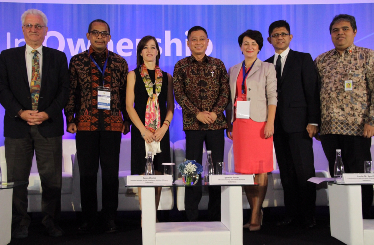 Clearance of Beneficial Ownership Simplifies an Investment in EMR Sector 