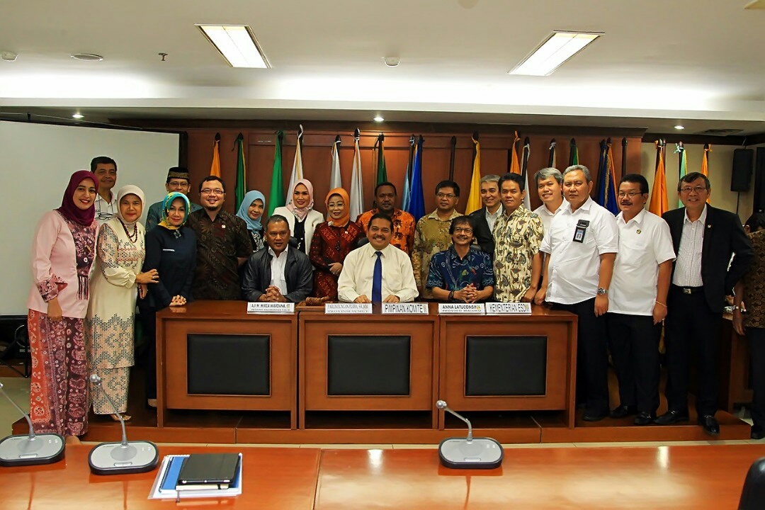 Kementerian ESDM dan DPD RI bahas RUU EBT