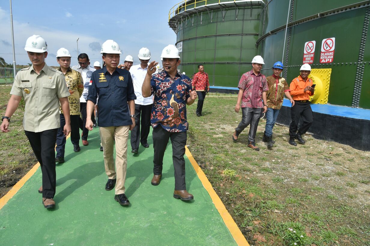 Limbah Sawit Di Indonesia Berpotensi Hasilkan Listrik 12.654 MW
