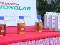 Pelemahan Harga Minyak Sawit Dorong Penurunan HIP BBN