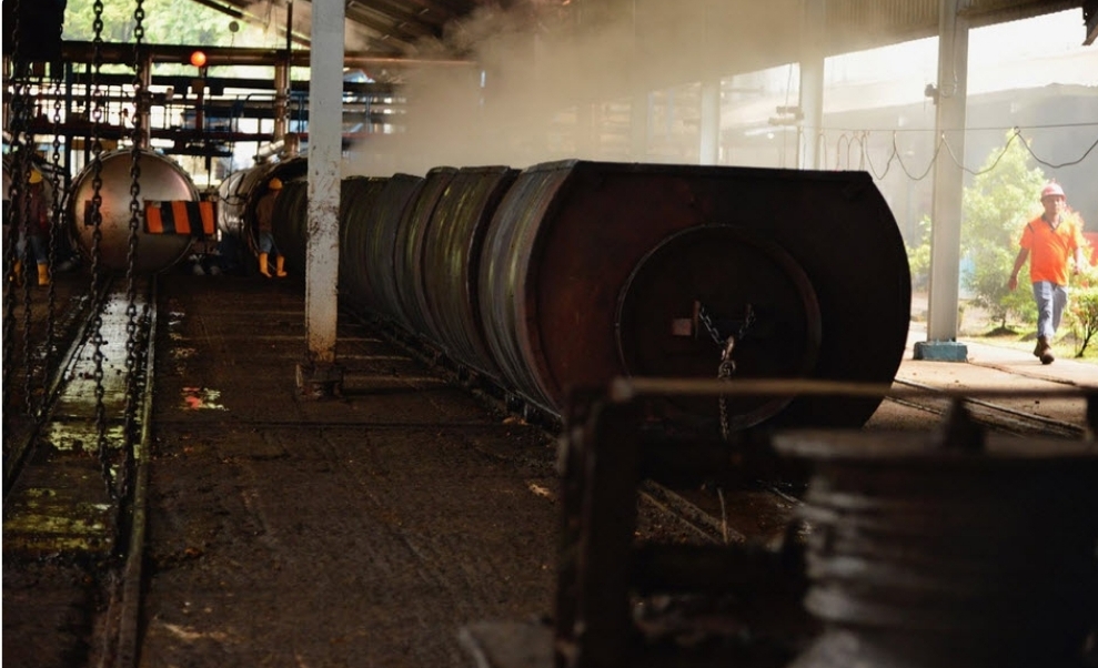 Pelemahan Harga Minyak Sawit Dorong Penurunan HIP BBN Desember 2018