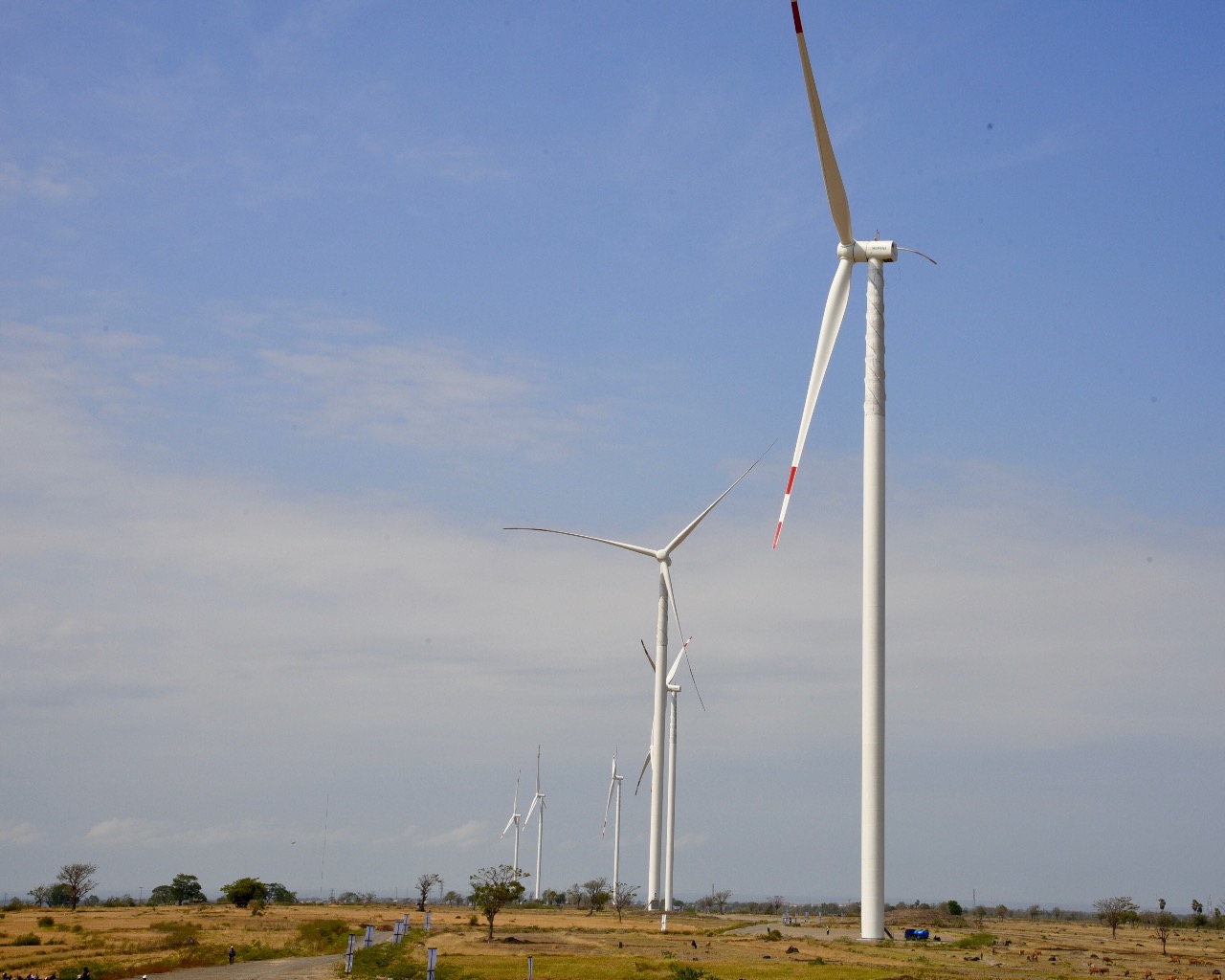 Pembangkit listrik Angin Jeneponto Beroperasi November Tahun Ini, 97% TKI