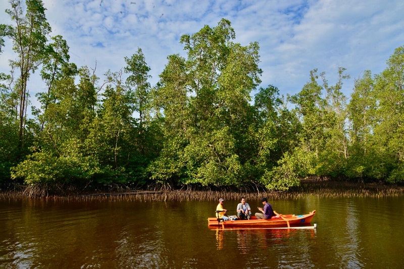 Perahu Listrik Jadikan Hutan Mangrove Kuale Wisata 