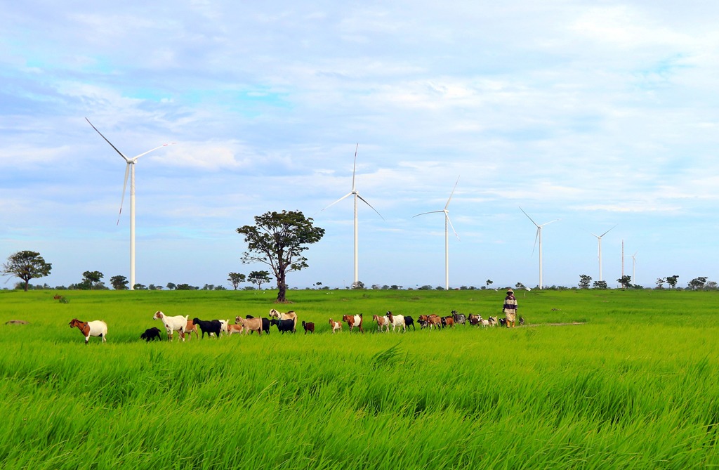 Potensi Pengembangan Listrik Tenaga Angin Indonesia, Berikut Sebaran Lokasinya