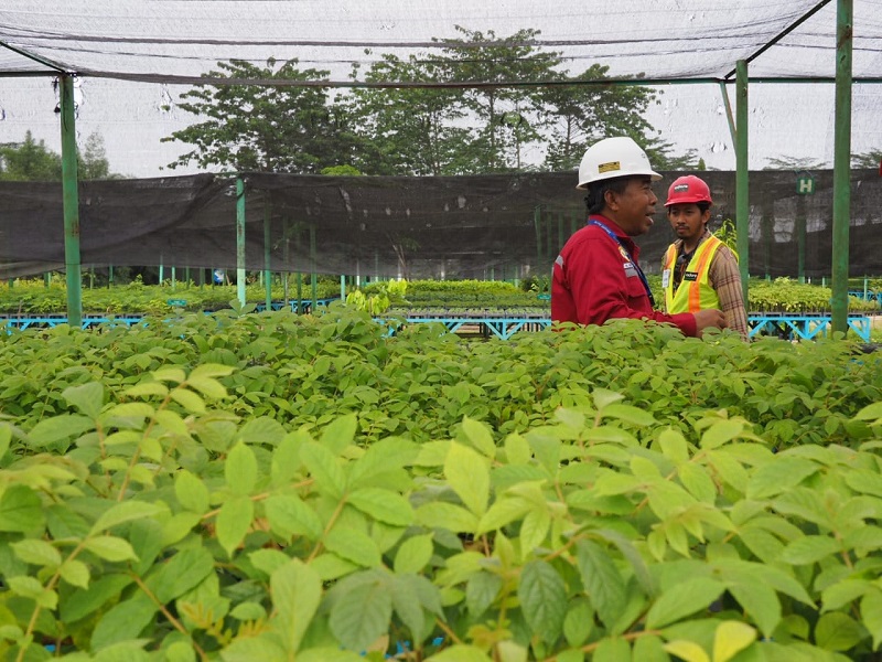 Reklamasi dan Upaya Produktif Pada Lahan Bekas Tambang