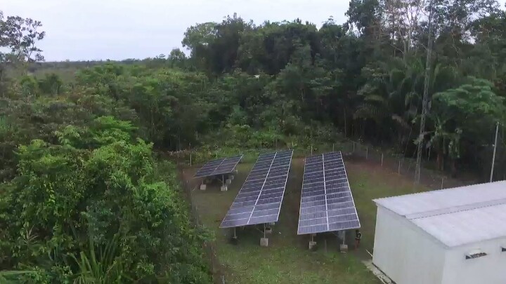 Secercah Cahaya Terbit di Tengah Hamparan Kebun Sawit