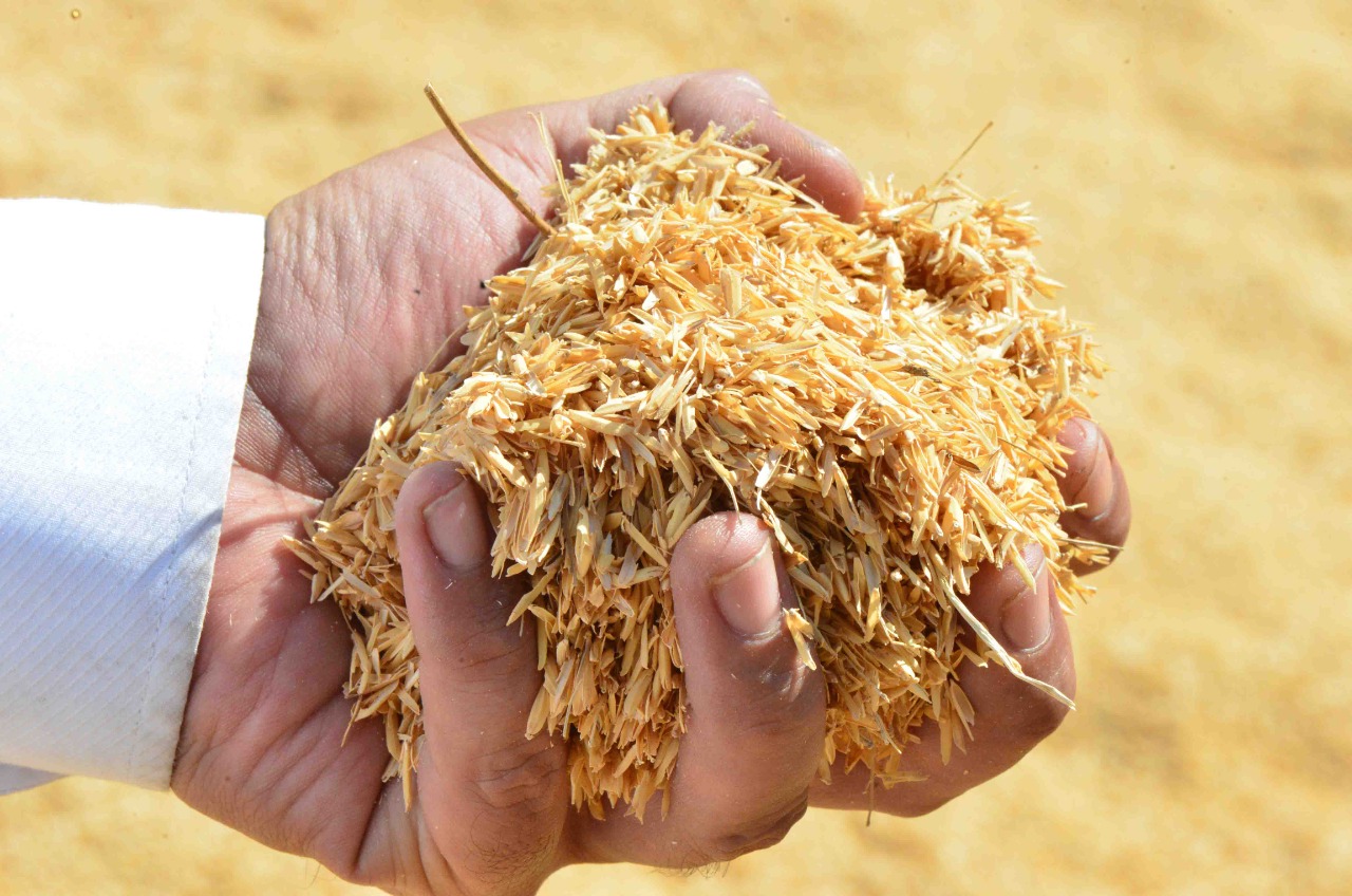 Terus Didorong, Ini Hasil Uji Coba Co-firing di PLTU Ropa dan PLTU Bolok 