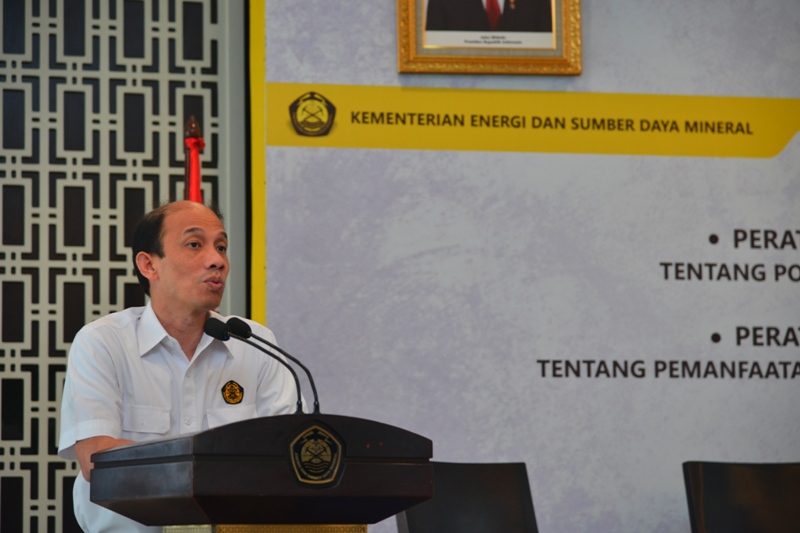 Wamen ESDM: Regulasi Diterbitkan untuk Dorong Investasi dan Pangkas Birokrasi