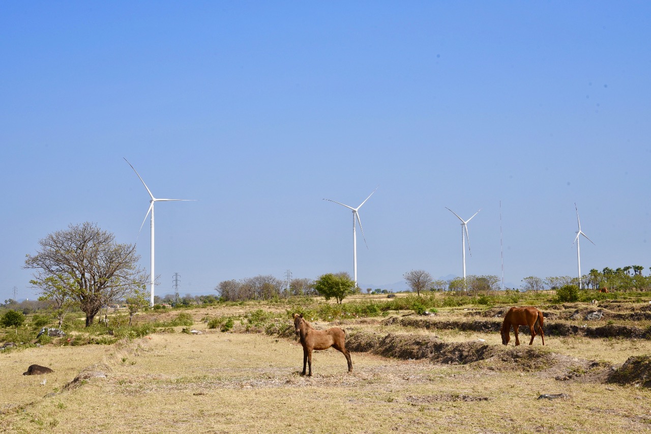 Wilayah Ini Miliki Potensi Energi Angin Di Atas 100 MW