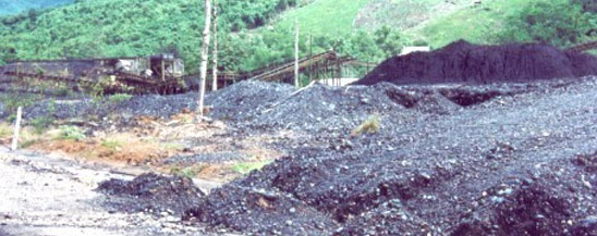 Tahun 2010, Sekitar 85% Batubara Dalam Negeri untuk PLTU