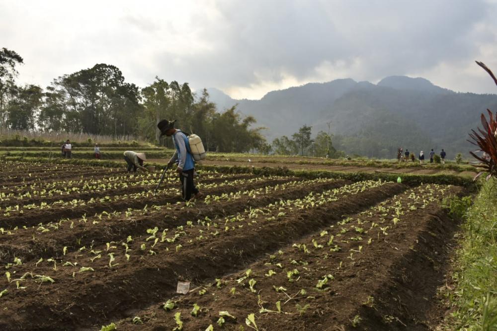 300 Unit PJU-TS Dukung Aktivitas Bertani Masyarakat Malang