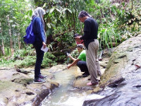 306 Desa di Kalimantan Utara Belum Teraliri Listrik