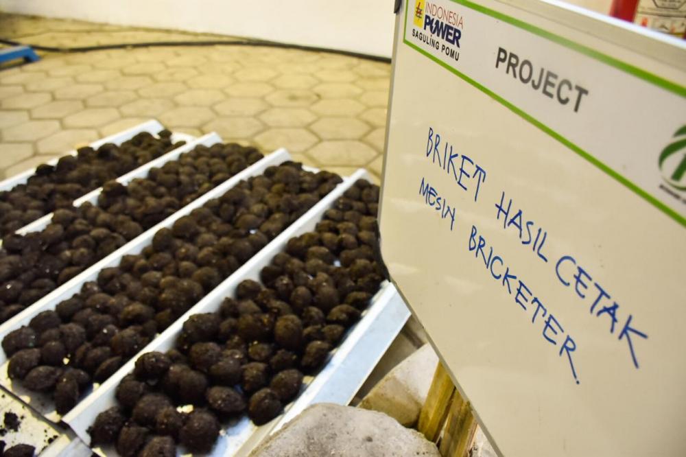 Beragam Manfaat Biomassa Berbasis Sampah dan Eceng Gondok di Saguling