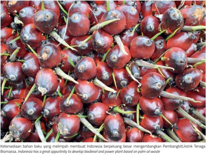 Bioenergi, Energi Terbarukan Paling Komplit