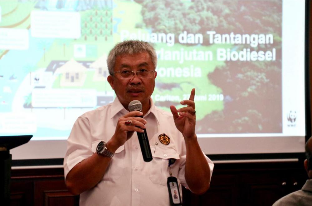 Dirjen Toto: Biofuel Berbasis CPO, Harapan Kejar Target EBT