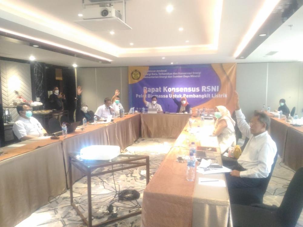 Forum Konsensus RSNI Pelet Biomassa untuk Pembangkit Listrik