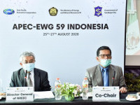 Indonesia Tegaskan Komitmen EBTKE dalam Forum Energi APEC ke-59 2020