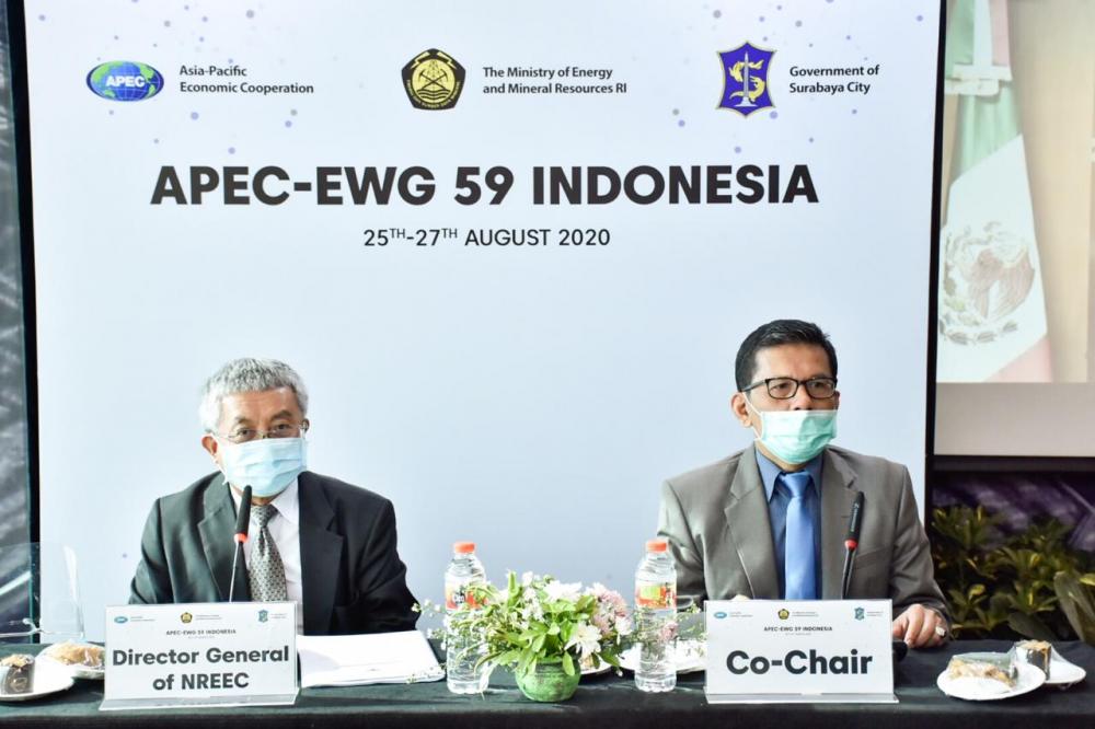 Indonesia Tegaskan Komitmen EBTKE dalam Forum Energi APEC ke-59 2020