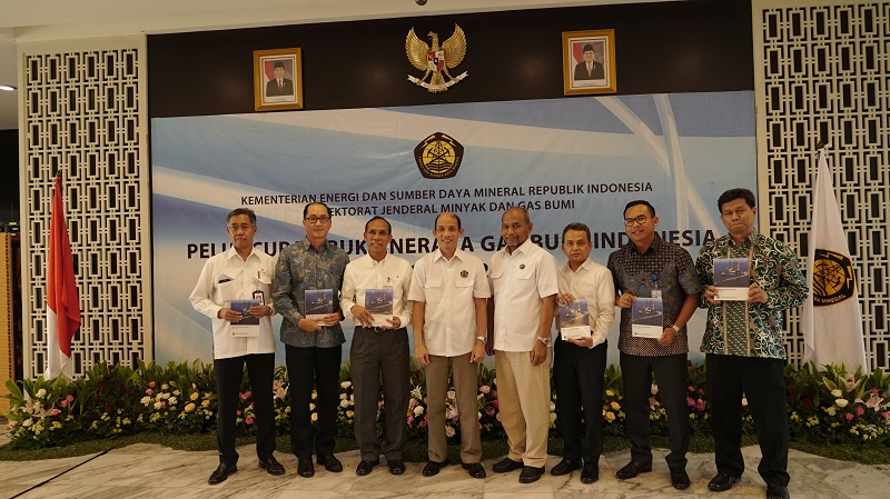 NGI 2018-2027: Pemerintah Atasi Kekurangan Gas dari Wilayah Surplus