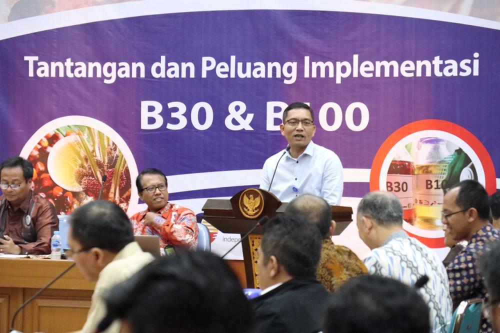 Peluang dan Tantangan Implementasi B30