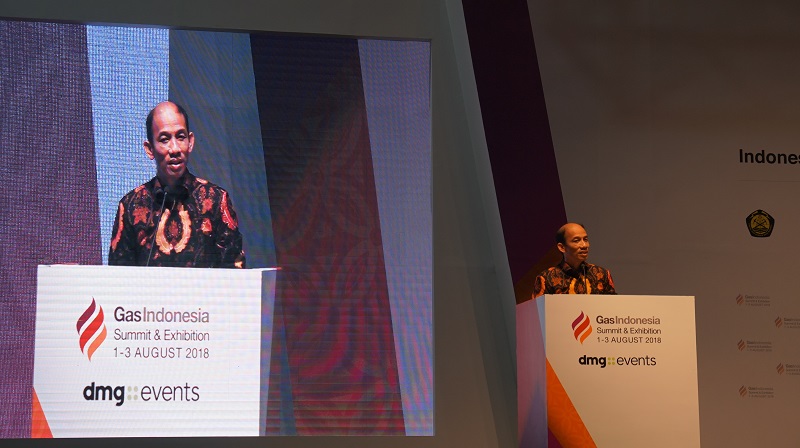 Pemerintah Segera Luncurkan Neraca Gas 2018-2027