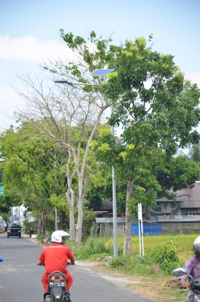 PJU-TS Dukung Pemulihan Aktivitas Masyarakat Lombok Pasca Gempa