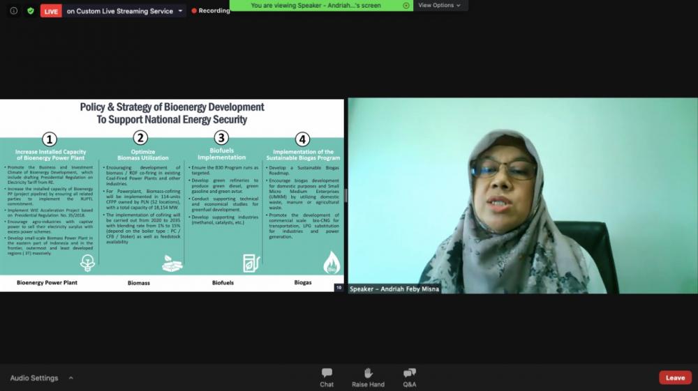 Strategi Pengembangan Bioenergi Dukung Ketahanan Energi Nasional