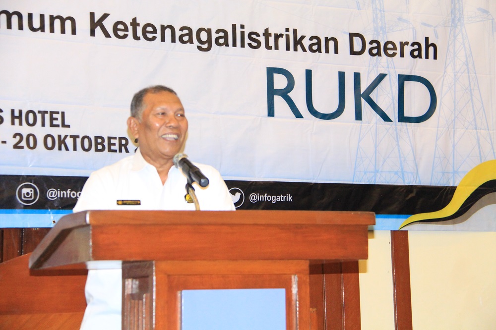 Undang Dinas ESDM, Ditjen Gatrik Selenggarakan Workshop Penyiapan RUKD