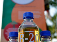 Yuk, Kenali Istilah B20, B100, Biofuel dalam Bioenergi