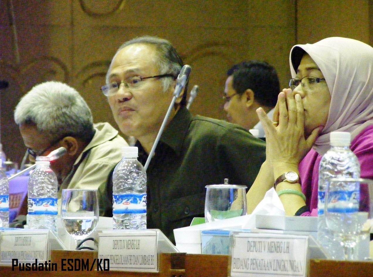 Kementerian ESDM Usulkan Amandemen Pasal 38 UU 41/1999 tentang Kehutanan