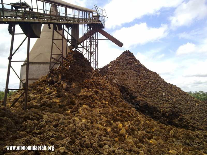 PLN Tandatangani MoU Pemanfaatan Limbah Kelapa Sawit Menjadi Energi Listrik