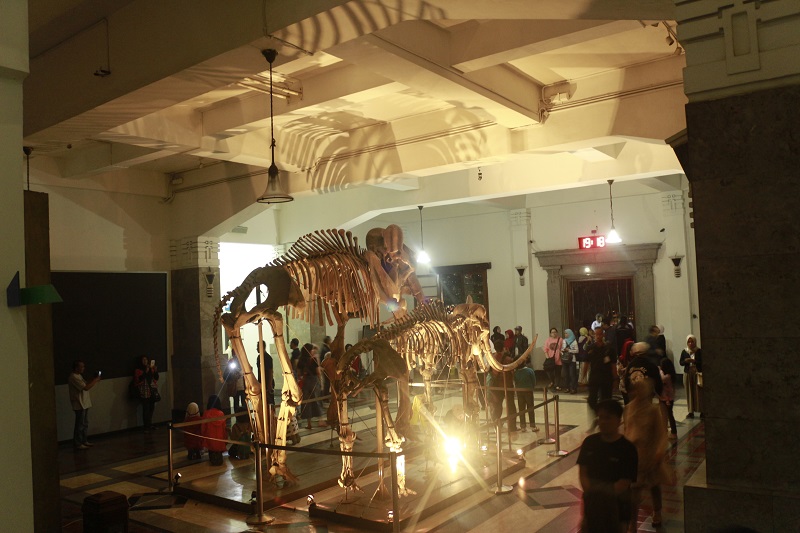 Peningkatan Kualitas Pelayanan, Badan Geologi Lakukan Program Night at The Museum