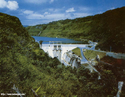 Pemerintah Siapkan PLTA 2030 MW